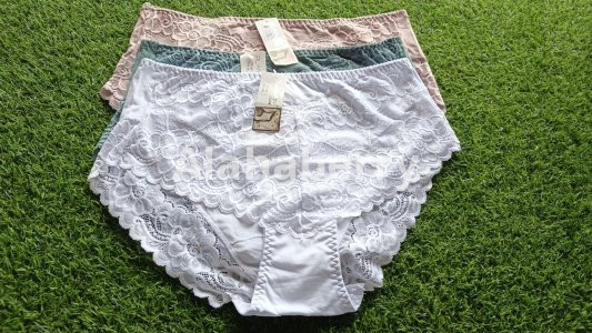 plus size underwears