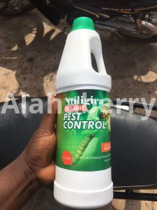 cold pressed Neem oil