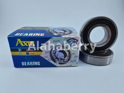 6206 bearing