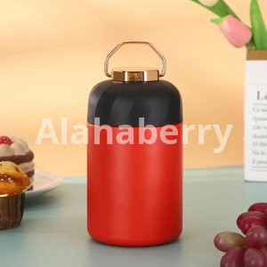 Food Flask